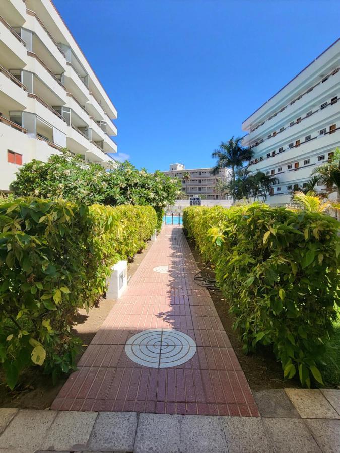 Las Camelias Apartments Playa del Inglés Zewnętrze zdjęcie