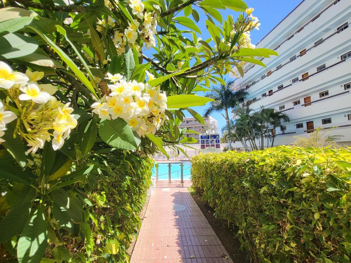 Las Camelias Apartments Playa del Inglés Zewnętrze zdjęcie