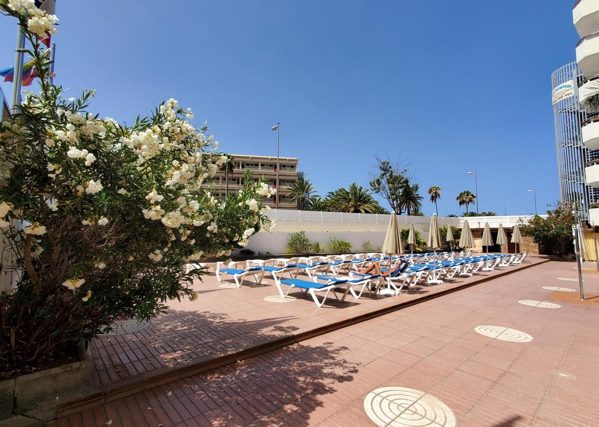 Las Camelias Apartments Playa del Inglés Zewnętrze zdjęcie